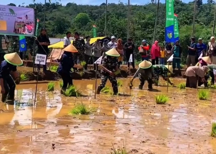 Terkendala Masalah Irigasi, Realisasi Cetak Sawah 2025 di Bengkulu Baru Capai 86 Hektare