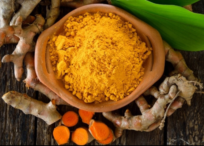 Ini 7 Rekomendasi Obat Herbal yang Ampuh Atasi Pengapuran Sendi, Salah Satunya Temulawak 