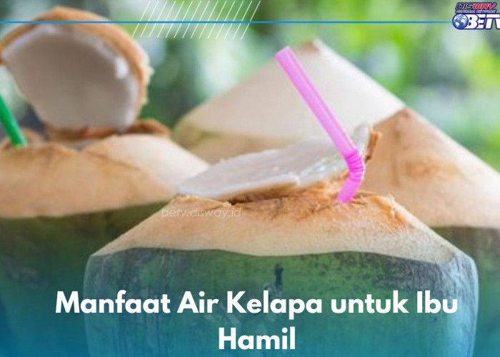 8 Manfaat Air Kelapa yang Baik untuk Kesehatan Ibu Hamil, Ampuh Mencegah Hipoglikemia