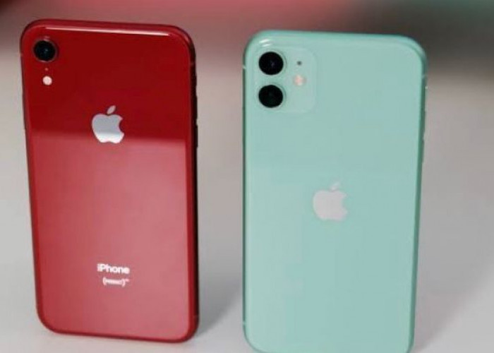 iPhone XR VS 11 - Fitur, Spesifikasi, dan Harga per Januari 2024