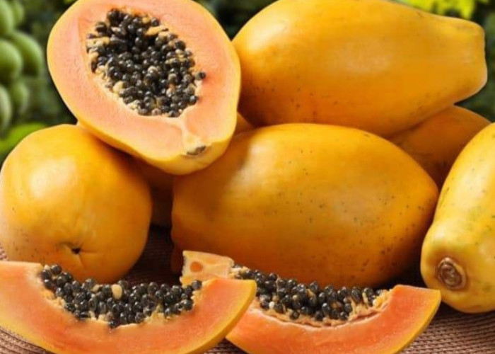 Ini Makanan yang Baik untuk Pencernaan, Bantu Jaga Kesehatan Usus