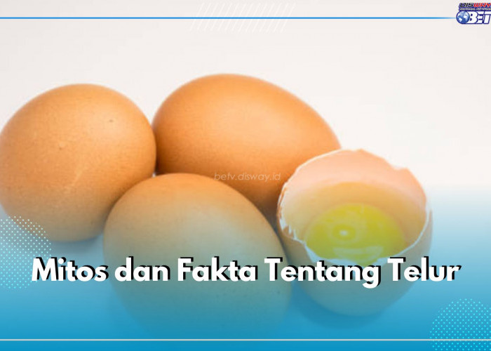 Benarkah Telur Bikin Bisulan? Simak Sederet Mitos dan Fakta Tentang Telur Ini dan Temukan Jawabannya!