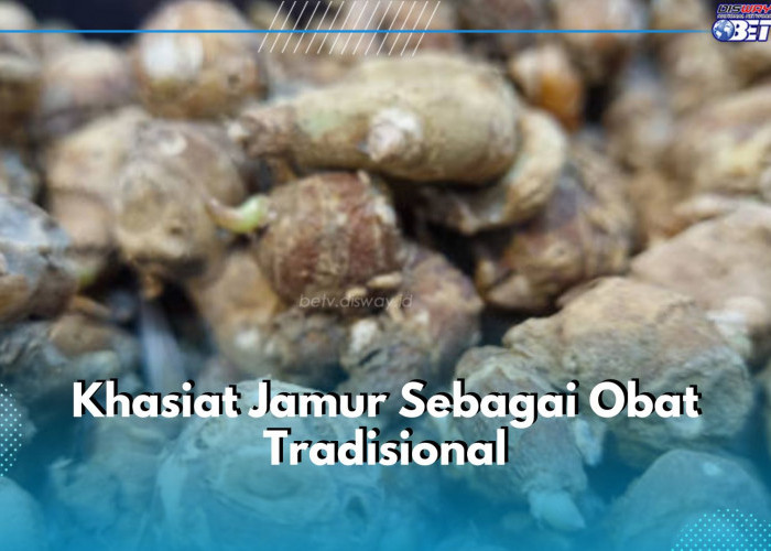 5 Khasiat Obat Kencur untuk Obat Tradisional, Populer untuk Hilangkan Bengkak