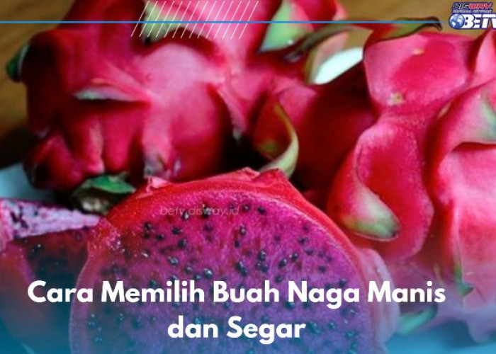 6 Cara Mudah Memilih Buah Naga Manis dan Segar, Kamu Perlu Lakukan Ini!