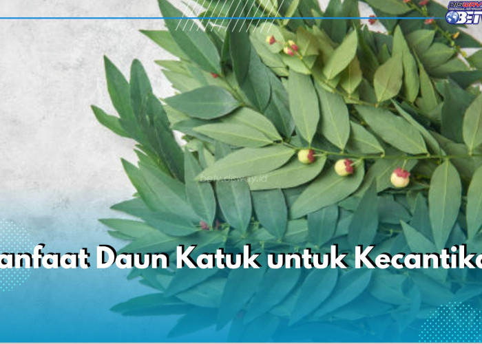 7 Manfaat Tersembunyi Daun Katuk untuk Kecantikan, Ampuh Cerahkan Kulit hingga Perkuat Kuku