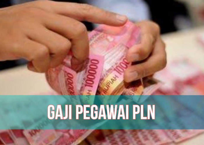 PLN Group Buka Lowongan Kerja, Intip Gaji Pegawainya, Bisa Capai Rp39.000.000 per Bulan!