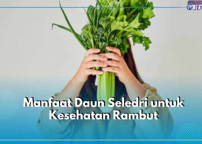 Yuk, Cek Manfaat Daun Seledri untuk Kesehatan Rambut, Salah Satunya Mengatasi Rambut Rontok