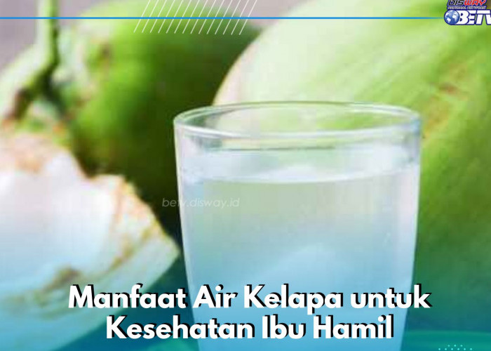 Air Kelapa Ini Baik untuk Ibu Hamil, Kamu Bisa Merutinkannya Sehari-hari, Cek Manfaat Lainnya