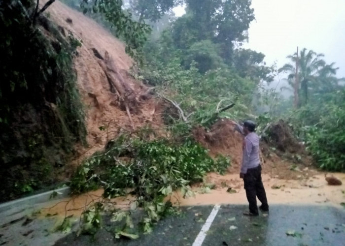 Akibat Hujan Lebat, Akses Manna-Tanjung Sakti Tertutupi Longsor