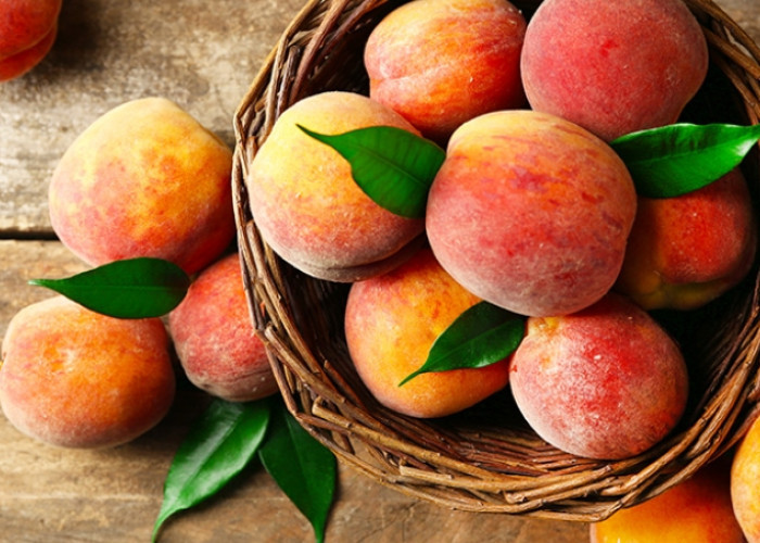 Berikut Ini Ragam Fakta Unik yang Tersimpan pada Buah Kesemek, Julukannya Buah Genit Loh!