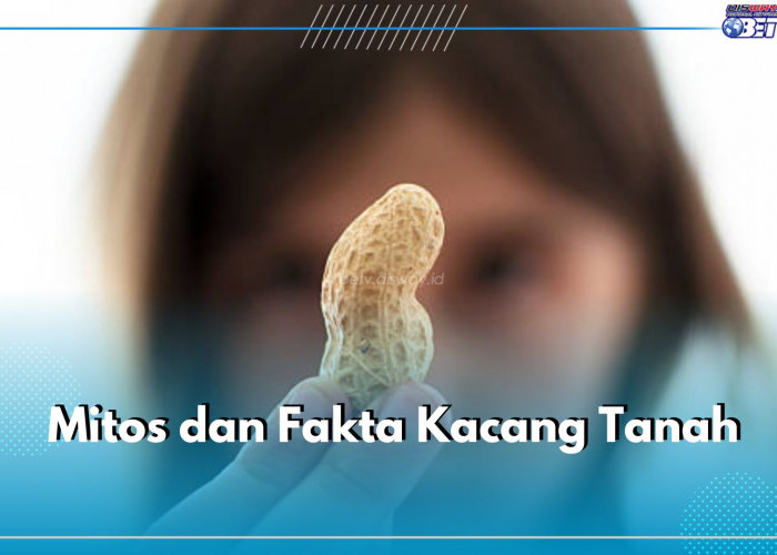 Benarkah Makan Kacang Tanah Bikin Jerawatan? Simak Sederet Mitos dan Fakta Kacang Tanah Ini dan Temukan Jawaba