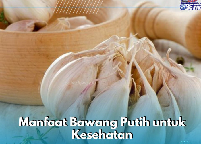 Bawang Putih Aman Dikonsumsi Sehari-hari, Ampuh Mengatasi Rambut Rontok, Cek Manfaatnya