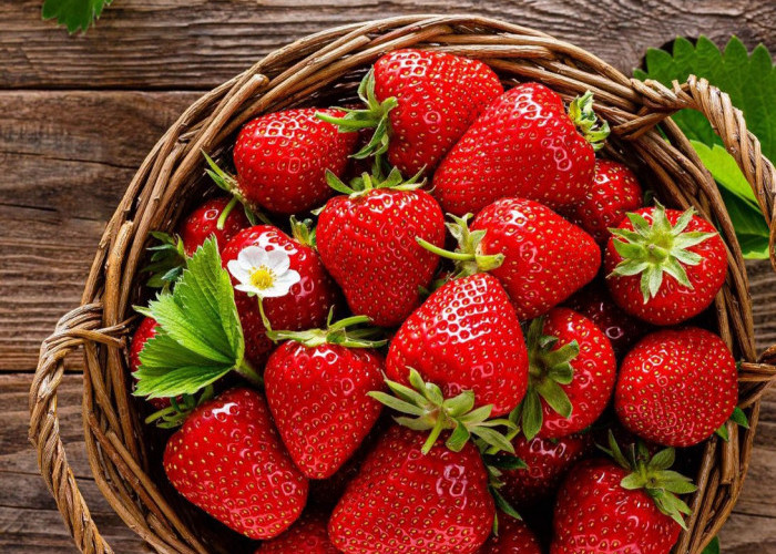 Konsumsi Secukupnya, Ini Manfaat Strawberry untuk Kesehatan, Dapat Mendukung Daya Tahan Tubuh 