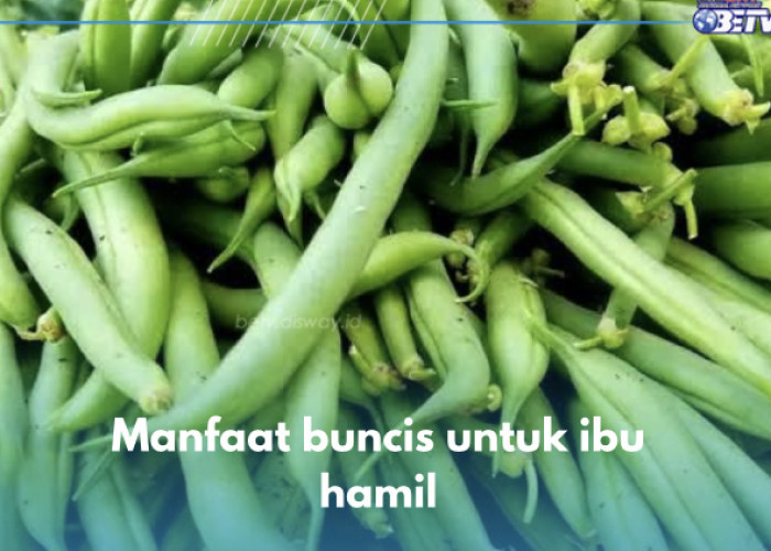 8 Manfaat Buncis untuk Ibu Hamil, Nomor 7 Sangat Penting Bagi Bumil