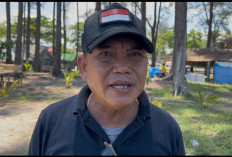 Inflasi Kota Bengkulu Diangka 2 Persen, Pemkot Pastikan Harga Bahan Pokok Aman Terkendali