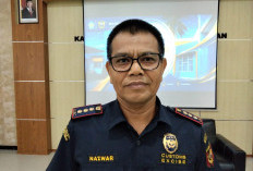Bea Cukai Bengkulu Ungkap Peredaran Rokok Ilegal, Nilai Barang Sitaan Capai Rp1,41 Miliar
