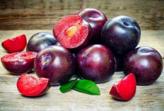 Ketahui Sederet Efek Samping Konsumsi Buah Plum Berlebihan, Salah Satunya Picu Alergi