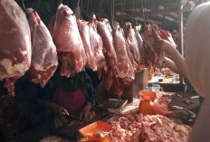 Update Harga Pangan di Bengkulu: Beras dan Cabai Stabil, Harga Daging Sapi Serta Ayam Justru Melonjak