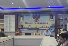 Infrastruktur Pulau Baai Alami Kemajuan, Ekspor Bengkulu Diproyeksikan Tak Lagi Lewat Teluk Bayur