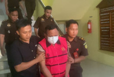 Skandal Sertifikat di Hutan Lindung, 2 Pejabat BPN Manna dan 1 Pensiunan Jadi Tersangka