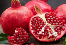 Perlu Tahu! Manfaat Buah Delima untuk Kesehatan Ibu Hamil, Dapat Memenuhi Kebutuhan Folat