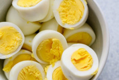 Bisa Meningkatkan Daya Ingat, Cek Makanan yang Dapat Membantu Menjaga Kesehatan Otak Ini