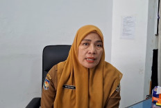 47 PPPK Paruh Waktu Pemprov Bengkulu Gagal Perpanjang Kontrak, Ini Alasannya