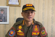 Sanksi Tegas Menanti Pemilik Ternak Nakal, Satpol PP Bengkulu Selatan Siapkan Tindakan Angkut di Tempat