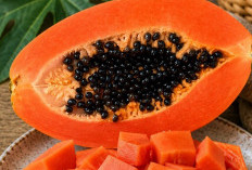Rutinkan! Ini 7 Buah yang Bagus untuk Lambung, Cocok Dikonsumsi Sehari-hari