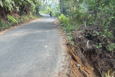 Jalan Napal Jungur-Dusun Tengah Tergerus Longsor, Warga Minta Segera Diperbaiki