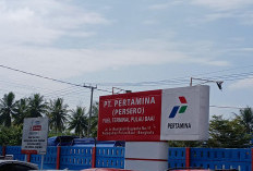 Jatah BBM Subsidi Bengkulu 2026 Turun, Cek Rincian Kuota Pertalite dan Solar di Sini