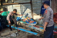 Sering Beraktivitas di TPI Pulau Baai, Pria 30 Tahun Ditemukan Meninggal di Belakang Toko