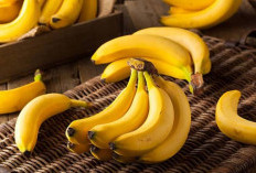 Efek Samping Konsumsi Buah Pisang Secara Berlebihan, Bisa Picu Berat Badan Meningkat