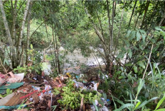 Warga Resah, DLH Kepahiang Diduga Buang Sampah ke Sungai Musi