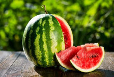 Kaya Kandungan Air, Klaim Disini 5 Manfaat Buah Semangka untuk Kesehatan