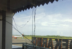 BPS Bengkulu: Aktivitas Penerbangan Turun, Angkutan Laut Meningkat di Awal 2026