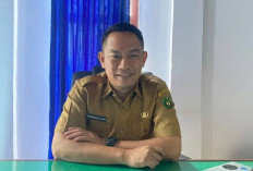 Siap-siap! Pemkab Bengkulu Selatan Ajukan Kuota 80 CPNS, Tenaga Kesehatan Jadi Incaran