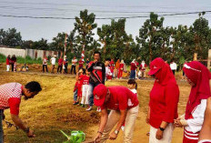 Semarak HUT RI ke-81, Warga RT 17 Sumur Dewa Hijaukan Lingkungan dengan 200 Bibit Buah