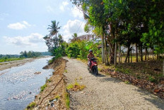 Jembatan Selali Rusak Parah, Bengkulu Selatan Minta Bantuan Rp10 Miliar ke Pusat