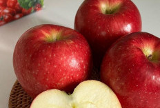 Baik untuk Jantung, Cek Manfaat Konsumsi Buah Apel bagi Kesehatan, Bisa Konsumsi Sehari-hari