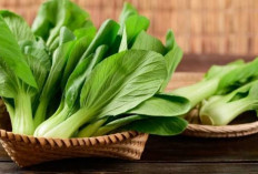 Sayur Pakcoy Tawarkan Manfaat Tersembunyi untuk Kecantikan Kulit, Cek Disini!