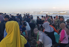 Gelar Gerakan Radin Inten Asri, 500 Warga Bersihkan Pantai Pasar Bawah Bengkulu Selatan