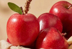 Bantu Jaga Kulit Tetap Sehat, 7 Manfaat Buah Apel untuk Kecantikan yang Perlu Diketahui 