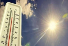 Waspada 'Cuaca Tipuan' 9 Februari 2026: Transisi Suhu Terik ke Hujan Lebat Picu Risiko Penyakit