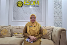 Meningkat Signifikan, Pemprov Bengkulu Usulkan 6.000 Rumah Tangga Terima Listrik Gratis di 2026