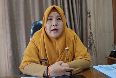 Tingkatkan Produktivitas, Bengkulu Targetkan Peremajaan 3.500 Hektare Sawit di 2026