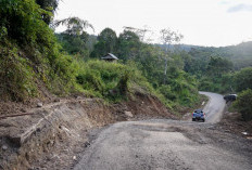 Tinjau Lokasi, Wagub Mian Targetkan Pembukaan Badan Jalan Lintas Curup-Lebong Mulai Bergerak