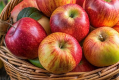 Kaya Serat, Cek 8 Fakta Menarik tentang Buah Apel di Sini