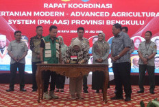 Pemprov Bengkulu Perkuat Sinergi Implementasi PM-AAS Demi Swasembada Pangan