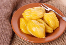 Baik untuk Kesehatan, Cek Disini Manfaat Buah Nangka Bagi Ibu Hamil 